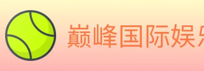 巅峰国际娱乐 logo